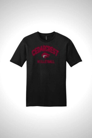CHS Volleyball Very Important Tee