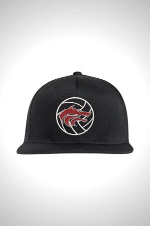 CHS Volleyball Flexfit Pro-Baseball On Field Cap