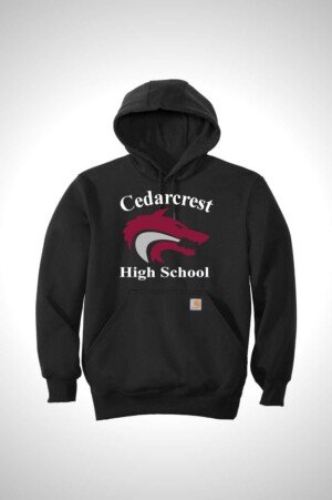 Cedarcrest Carhartt Rain Defender Paxton Heavyweight Hooded Sweatshirt