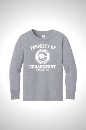 Cedarcrest BELLA+CANVAS Toddler Jersey Long Sleeve Tee