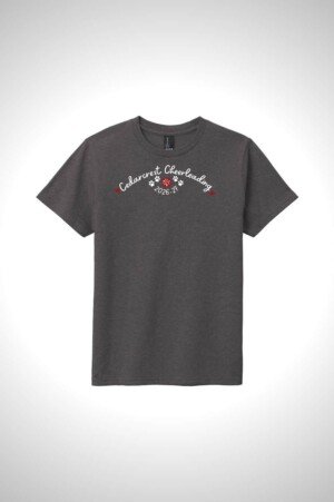 Cedarcrest Cheer District Youth Very Important Tee