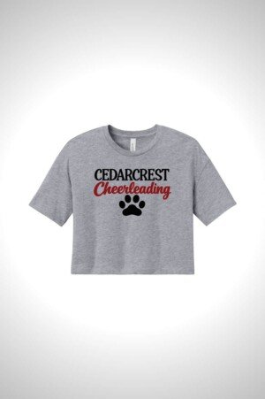 Cedarcrest Cheer BELLA+CANVAS Women’s Jersey Crop Tee